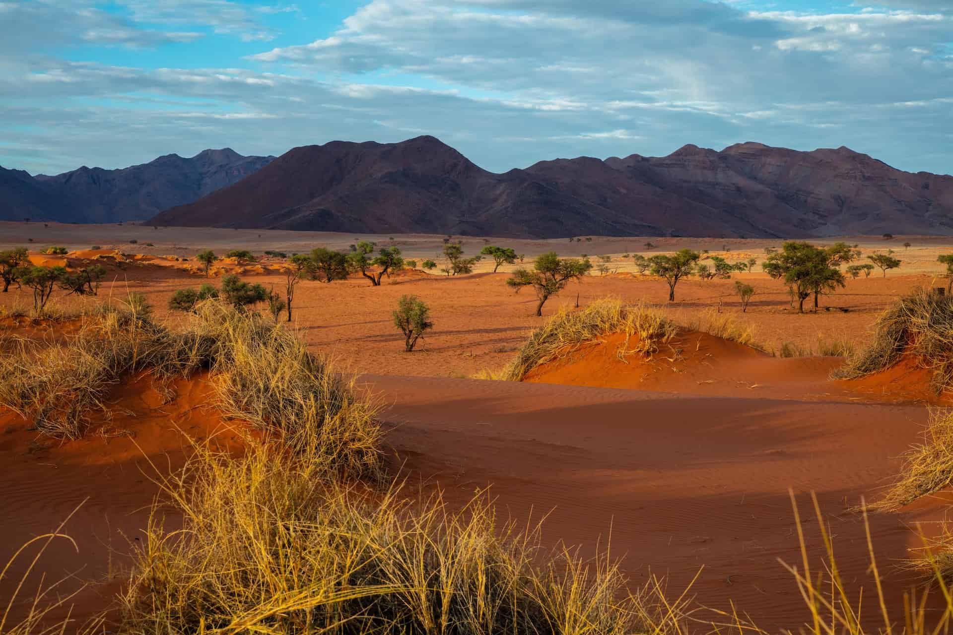 Namib Desert landscapes